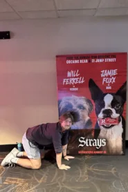 Strays ชีวิตหมาต้องไม่หมา 2023 ดูหนังฟรี HD