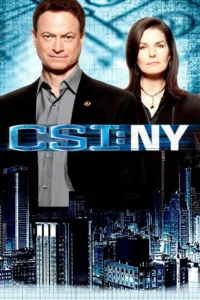 CSI: NY: Season 8