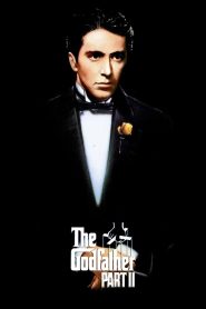 The Godfather- Part II เดอะ ก็อดฟาเธอร์ ภาค 2 (1974)