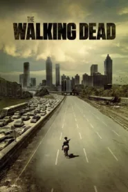 ดูซีรีย์ ล่าสยอง…กองทัพผีดิบ The Walking Dead season 1-11 ชัด HD เต็มเรื่อง