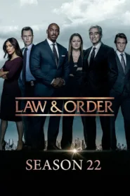Law & Order: Season 22