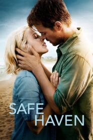 รักแท้ หยุดไว้ที่เธอ, Safe Haven (2013)