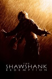 The Shawshank Redemption 1994 , ชอว์แชงค์ มิตรภาพ ความหวัง ความรุนแรง เต็มเรื่อง