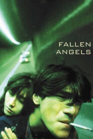 Fallen Angels (1995) นักฆ่าตาชั้นเดียว