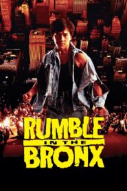 ใหญ่ฟัดโลก Rumble in the Bronx 1995 ดูหนังฟรี