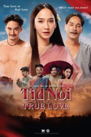 ทิดน้อย ดูหนัง Tid Noi: More Than True Love HD เต็มเรื่อง