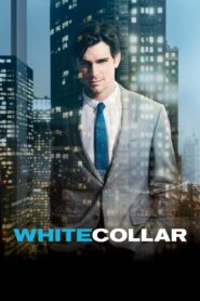 White Collar: Season 6