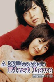รักสุดท้ายของนายไฮโซ A Millionaire’s First Love 2006 ดูหนังฟรี